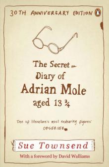      The Secret Diary of Adrian Mole, Aged 13 3/4