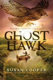      Ghost Hawk