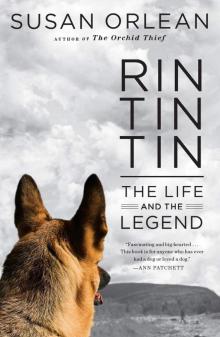      Rin Tin Tin