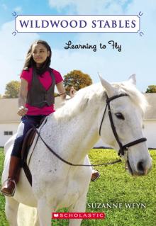      Learning to Fly