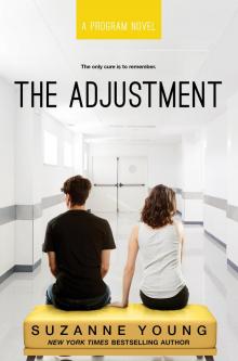      The Adjustment