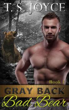      Gray Back Bad Bear