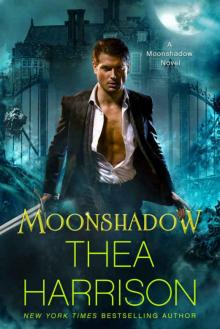      Moonshadow