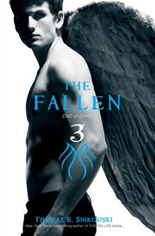      The Fallen 3