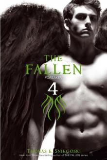      The Fallen 4