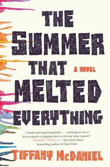      The Summer That Melted Everything