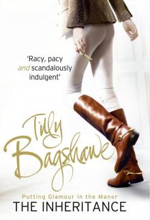      The Inheritance