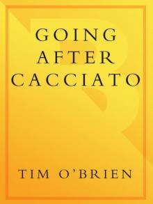      Going After Cacciato