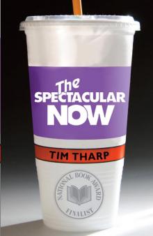      The Spectacular Now