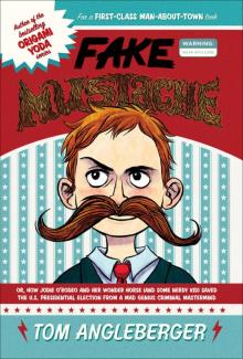      Fake Mustache