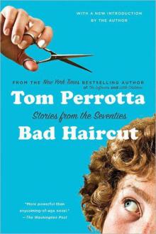      Bad Haircut: Stories of the Seventies