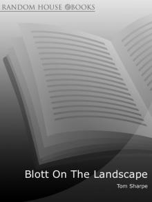      Blott on the Landscape