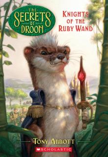      Knights of the Ruby Wand