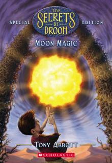      Moon Magic