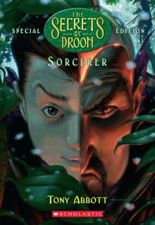      Sorcerer
