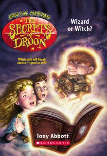      Wizard or Witch?