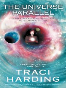      The Universe Parallel