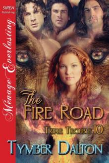      The Fire Road