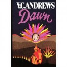      Dawn