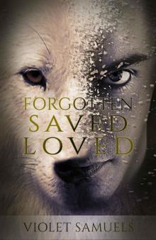      Forgotten, Saved, Loved