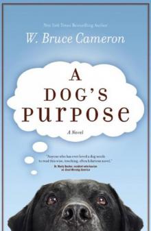      A Dog's Purpose