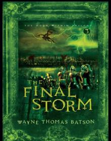      The Final Storm