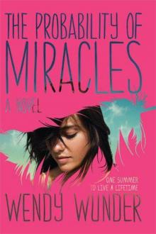      The Probability of Miracles