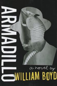      Armadillo