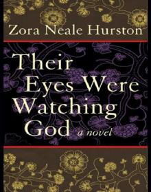      Their Eyes Were Watching God